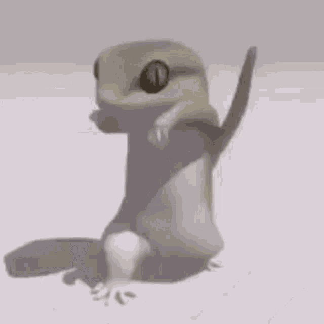 /en/blog/2026/02/17/gecko.gif